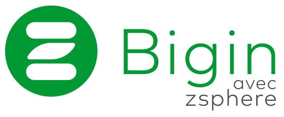 ZSphere Bigin